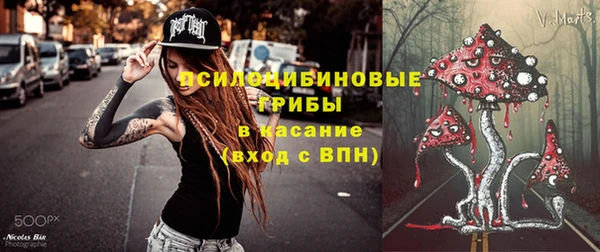 молекула духа Лабытнанги